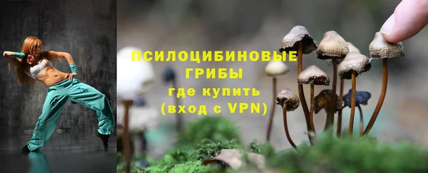 мяу мяу мука Елабуга