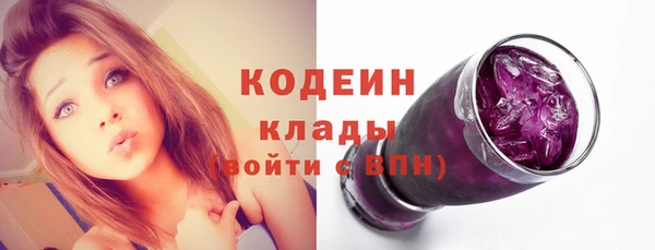 стафф Ельня
