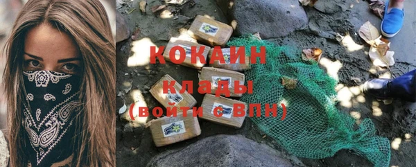 стафф Ельня
