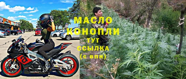 стафф Ельня