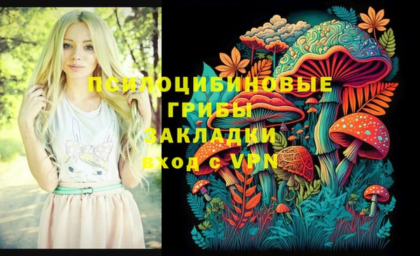 мяу мяу мука Елабуга