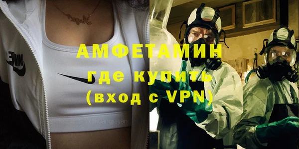 стафф Ельня
