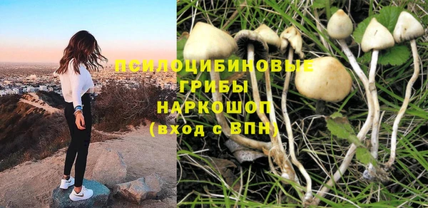 мяу мяу мука Елабуга