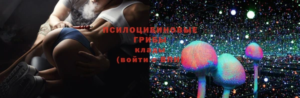 стафф Ельня