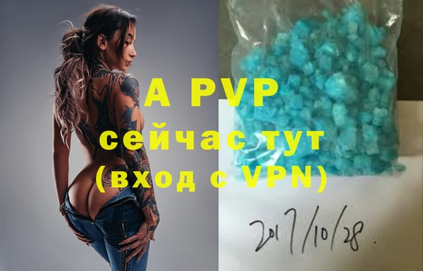 мяу мяу мука Елабуга