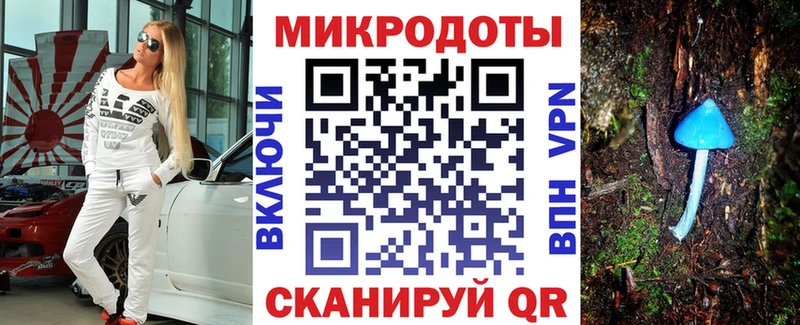 Купить  Светлогорск  Галлюциногенные грибы Psilocybine cubensis 